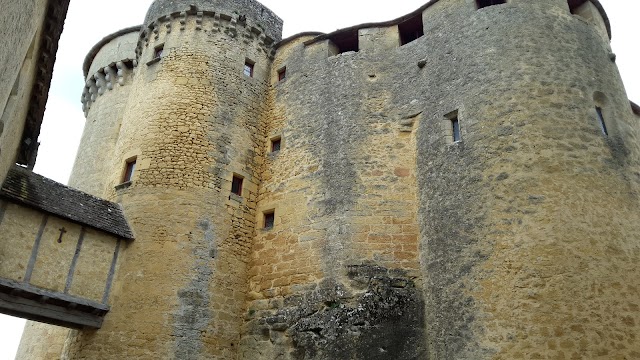 Château de Fénelon