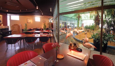 シーフードレストラン メヒコ 水戸フラミンゴ館