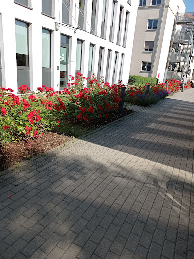 Bürgeramt Erfurt - Visual