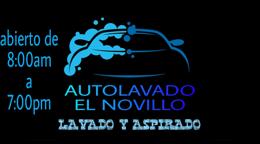 Autolavado el Novillo - Thumbnail