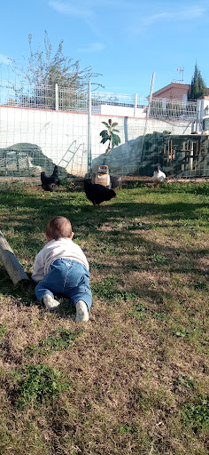 Casa Nostra Espai Infantil - Thumbnail