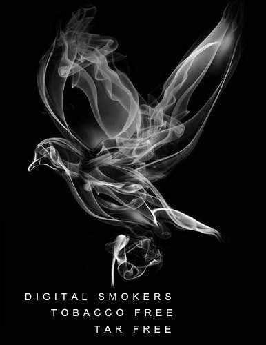 Digital Smokers