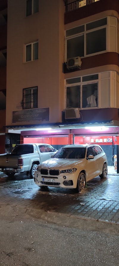 Gümüşay Professional Car Wash