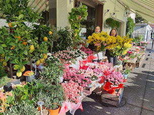Photo n°29 de Aux Fleurs de la Riviera à Nice (Fleuriste)