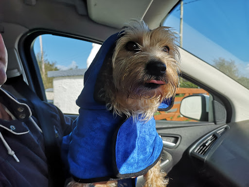 Millbank Cattery and Cae Cymyran