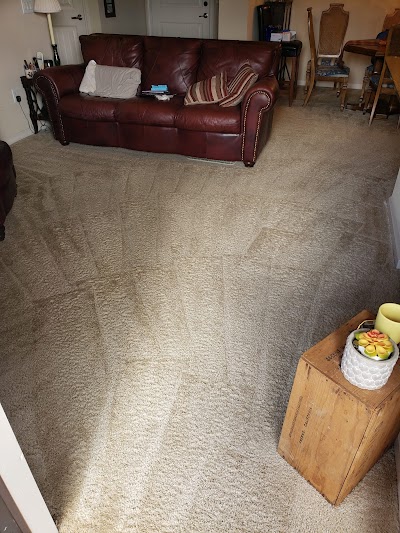 Luxury steam carpet cleaning