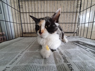 Photos of Key petshop and clinic