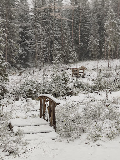 Hähnleinsbrunnen - Visual
