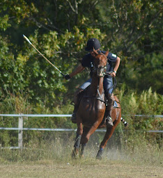 Photo n°1 de MEDOC POLO CLUB à Vendays-Montalivet (Centre équestre)