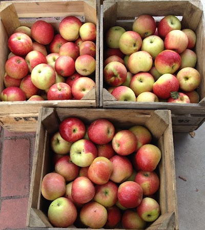 Photos of L E Huck & Sons Farm Market