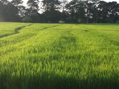 Photos of Wasgamuwa National Park