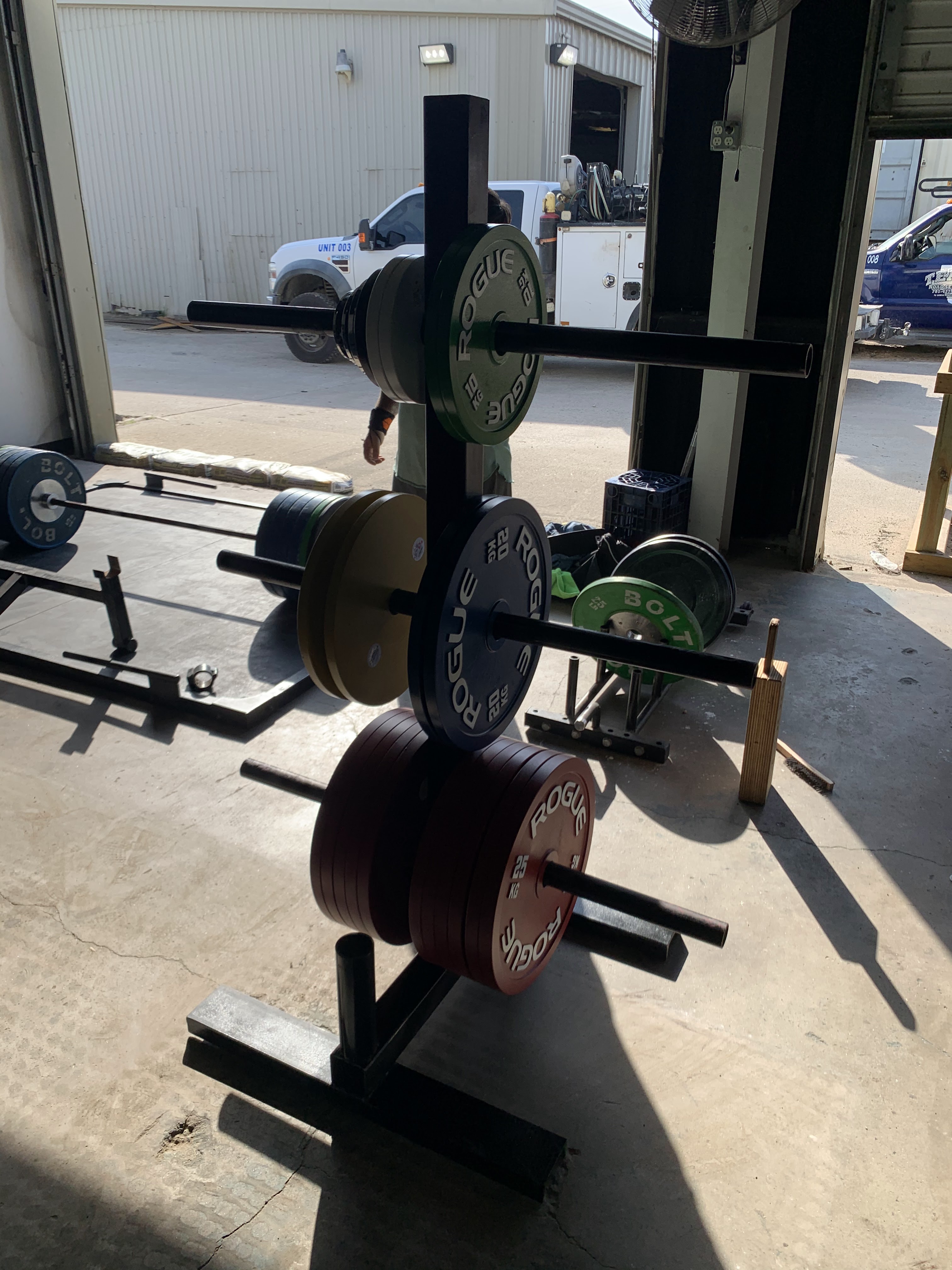 Species Gym Baytown photo 5
