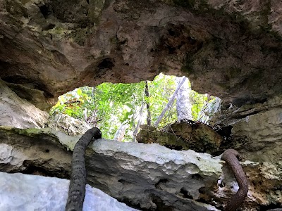 Photos of Primeval Forest National Park
