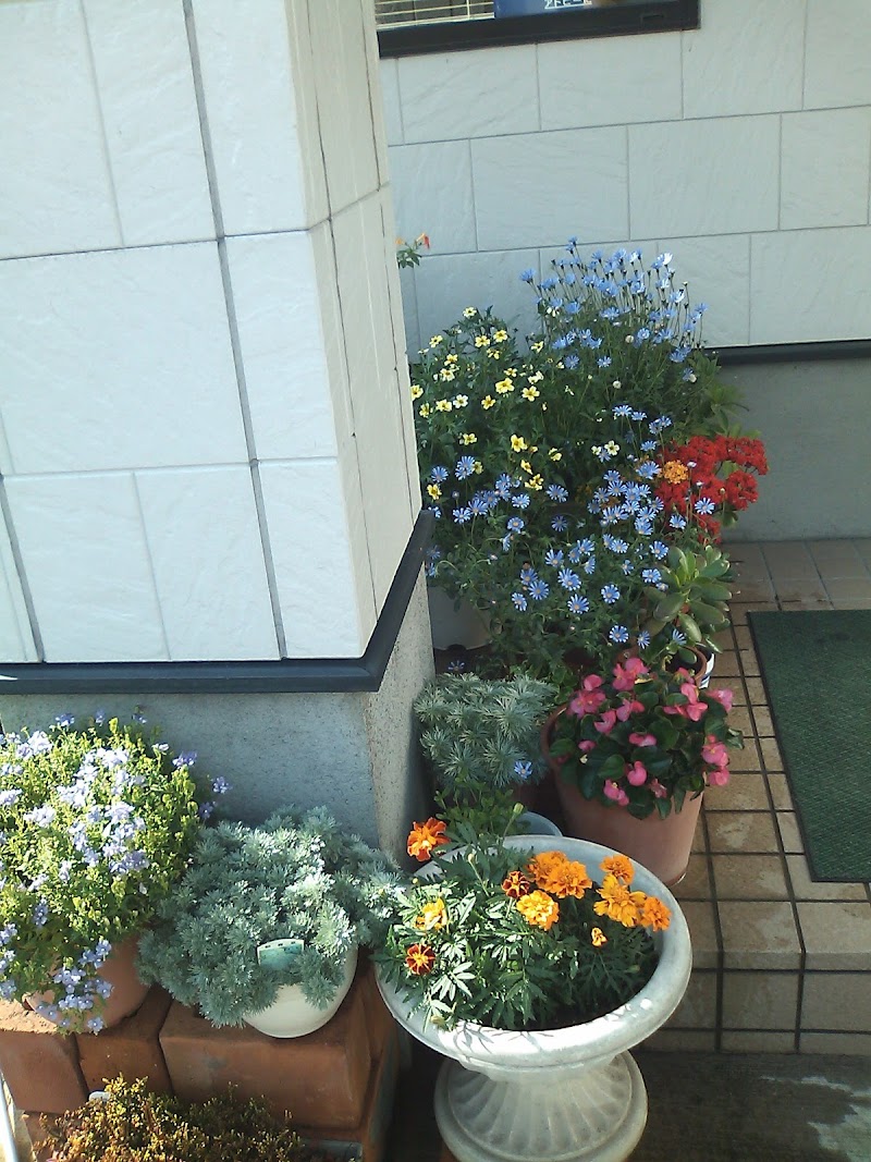 カットハウスウエノ