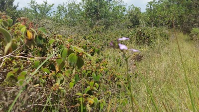 Photos of Loma Guaconejo
