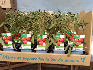 Photo n°6 de Plantzone à Busserolles (Maraîcher)