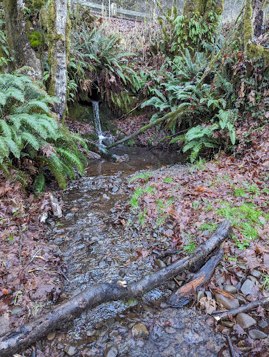 Beaver Falls - Visual