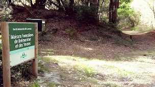 Photo n°14 de LA CIGALE à Lacanau (Maison de vacances)