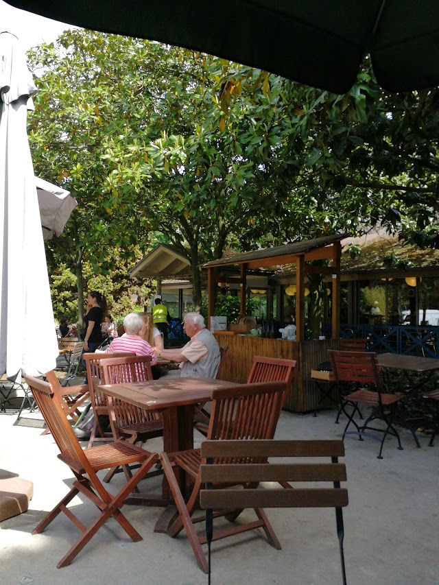 Les Magnolias