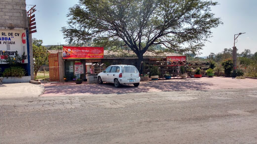 Forrajera Campero Hidalgo - Thumbnail