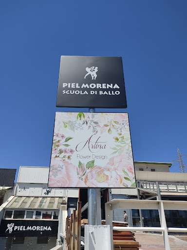 Artina - Visual