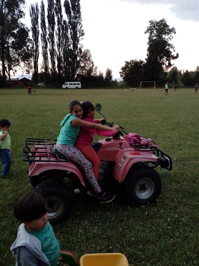 Photos of Huertos Verticales