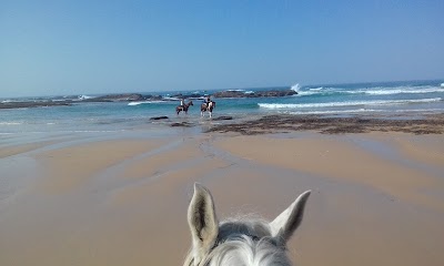 Photos of Beachcomber Horse Trails