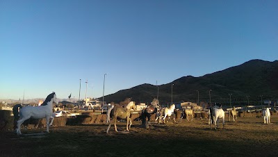 Photos of Arak passenger terminal