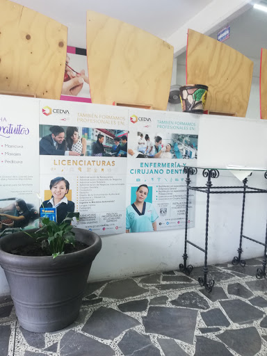 CEDVA Zumpango Gastronomía y Belleza