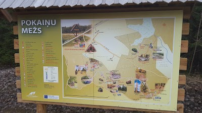 Photos of Pokaiņi Forest