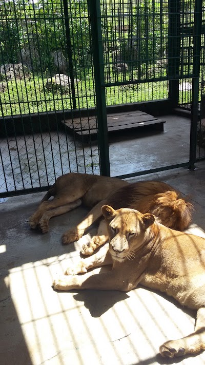 Photos of Joya Grande Zoo