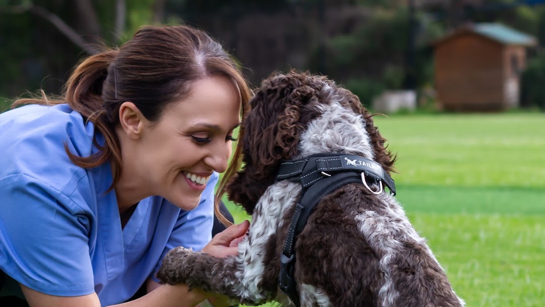 dr. lauren mobile vet home visit vet services