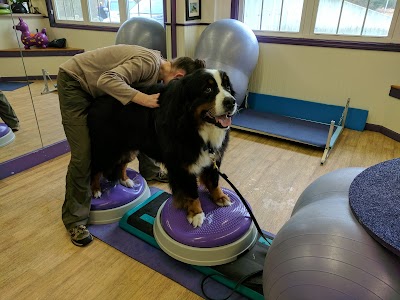 Wizard of Paws Physical Rehab