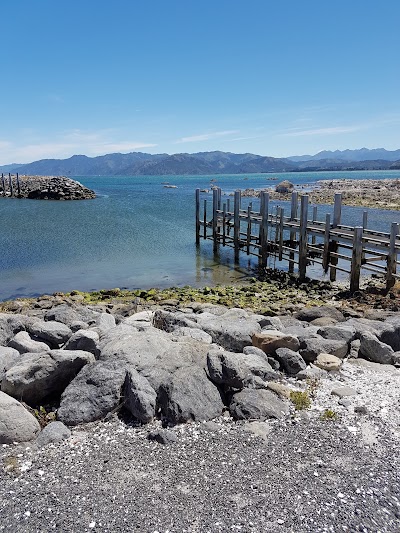 Photos of Fish Kaikoura