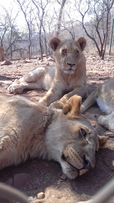 Photos of Mbidi Resort & Animal Sanctuary