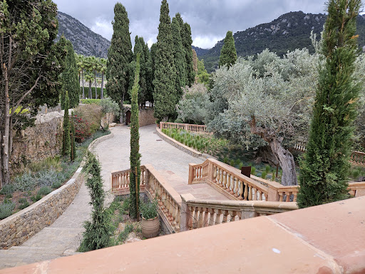 Restaurant @ Valldemossa - Thumbnail