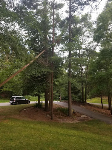 M.C. Riley Tree Service