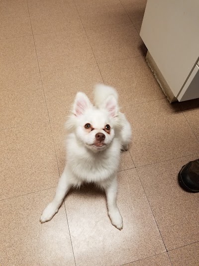 Photos of Animal Medical Services