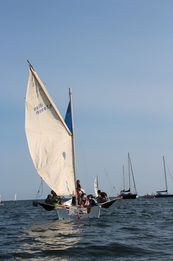 Photo de Le Cormoran à pagaie à Névez (29920)