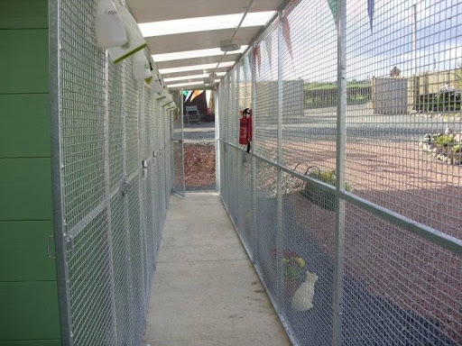 Braeside Cattery & Kennels - Thumbnail