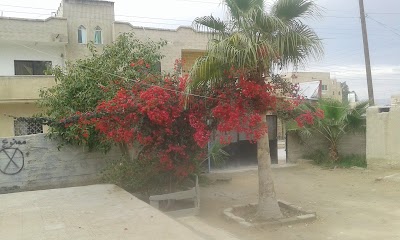Photos of غور المزرعة