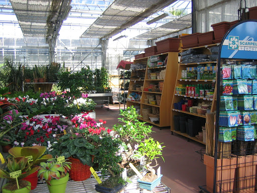 Floricoltura Palmieri Di Pasquale E Michele Palmieri Ss