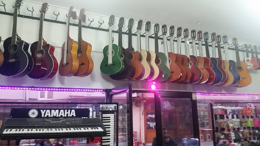 3m Müzik
