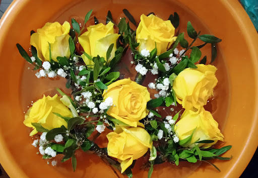 Die Ringelblume - Visual