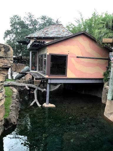 Orangutan Habitat - Thumbnail