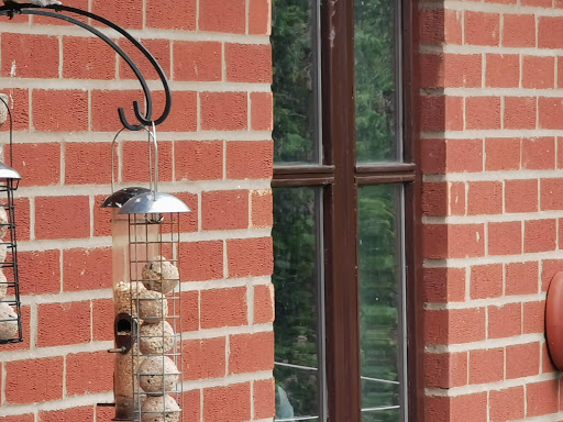 Twin Electrics Gallery - United Kingdom