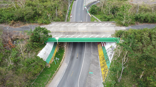 78 Pueblos 78 Bandera HectorPR - Thumbnail