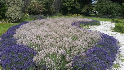 Photos of Kaikoura Lavender Farm and Dylans Cottages