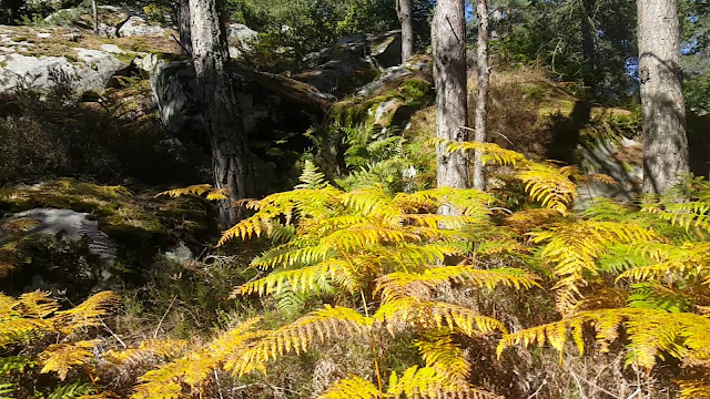 Trois-Pignons Centre : Roche aux Sabots