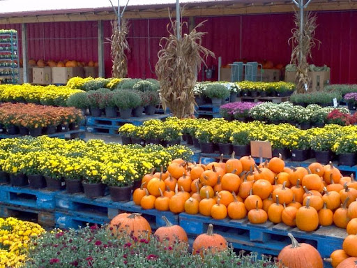 Linda's Fruit Stand - Thumbnail